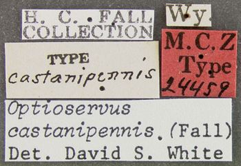 Media type: image;   Entomology 24459 Aspect: labels
